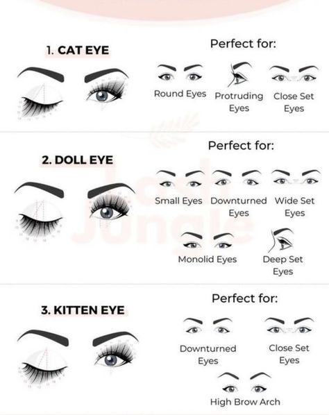 Dolleyelashes Map, Lash Pattern Eyelashes, Lash Map For Eye Shapes, Lash Map For Upturned Eyes, Eye Shape Chart For Lash Extensions, Lash Mapping For Small Eyes, Hooded Eye Lash Extension Mapping, Lash Maps For Eye Shapes, Lash Menu Ideas