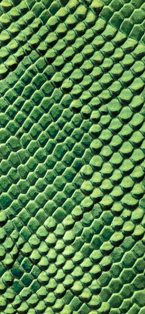 Lizard Texture, Awesome Backgrounds, Snake Scales, Snake Wallpaper, Dragon Skin, Reptile Skin, Stylish Wallpaper, Wallpapers For Iphone, Phone Wallpaper Patterns