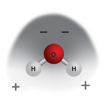 model of a hydrogen molecule Diy Molecule Model, Chemistry Atoms And Molecules, Molecule Structure, Hydrogen Molecule, Acetylcholine Molecule, Ozone Therapy, Hydrogen Atom, Ap Chemistry, Outer Planets