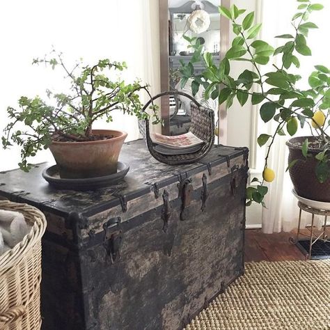 Antique Trunk Decor, Chest Decor, Boho Decorating, Eclectic Industrial, Moody Home Decor, Antique Wooden Boxes, Black Floor Tiles, Rustic Wooden Shelves, Rustic Desk