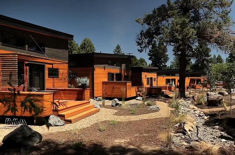 A modern tiny house community with homes and paths connecting them to the landscaping. Small House Communities, Tiny House Rentals, Lake Property, House Community, Tiny House Village, House Village, Home Design Magazines, Community Housing, Tiny House Community