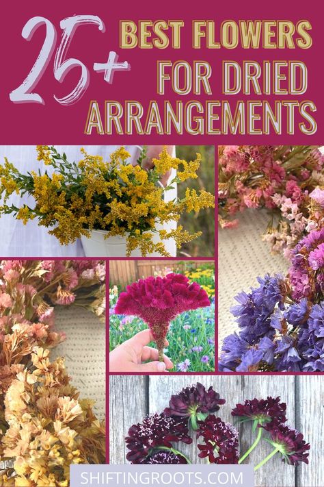 If you love colourful dried floral arrangements and wreaths, grow these 28 flowers and grasses for unique dried bouquets and dynamic ornamental pieces! Dried Hydrangeas Centerpiece, Dry Flower Arrangements, Dried Floral Arrangements, Dried Arrangements, Flowers To Grow, Dried Flowers Diy, Dried Hydrangeas, List Of Flowers, Artificial Floral Arrangements