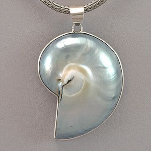 Nautilus Shell Pendant Nautilus Shell, Kahlil Gibran, One Half, Shell Jewelry, Shell Pendant, Shell Necklaces, Nautilus, Kind Heart, Jewelry Inspo