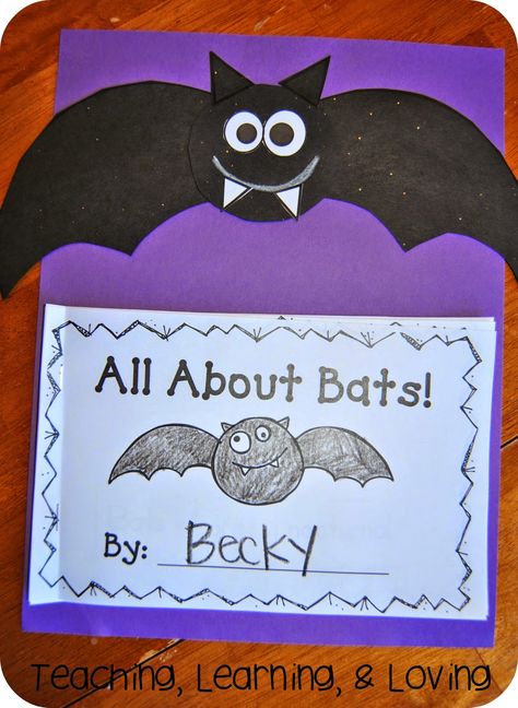 Halloween Bat Activities, Bats For Kindergarten, Bat Lesson Plans For Preschool, Bat Activities For Kindergarten, Bats Crafts Preschool, Bat Activities For Kids, Bat Lessons, Bat Habitat, Bats Activities