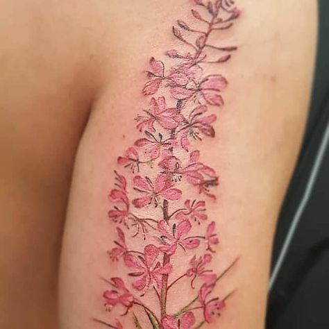 Fireweed Tattoo, Alaska Fireweed, New York Tattoo, Nyc Tattoo, Plant Tattoo, Grass Flower, A Tattoo, Color Tattoo, Tattoos And Piercings