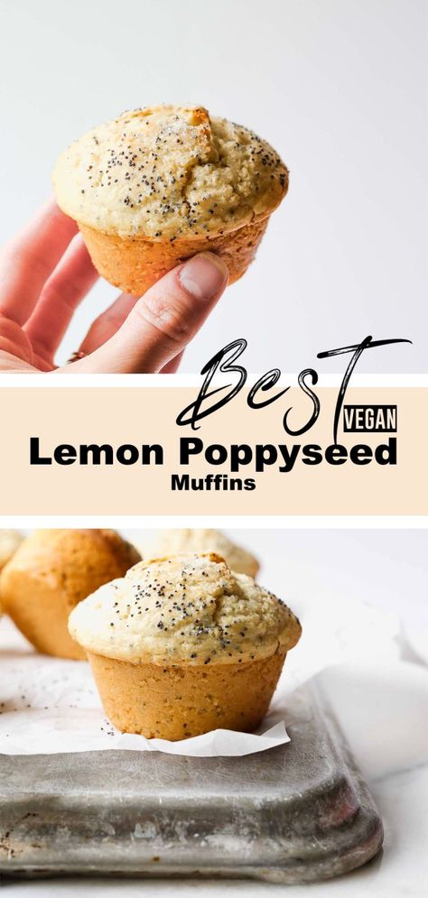 Vegan Chocolate Chip Muffins, Lemon Poppy Seed Muffins Recipe, Lemons Recipes, Poppyseed Muffins, Lemon Poppy Seed Muffins, Almond Yogurt, Healthy Blueberry Muffins, Seed Muffins, Vegan Muffins