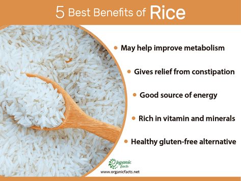 Rice comes in more than 40,000 varieties with different shapes, sizes, texture, aroma, and colors. Learn more about its benefits and uses. Health Benefits Of Rice, Rice Health Benefits, Rice Benefits, Loose Weight Meal Plan, Benefits Of Rice, Rice Water Benefits, Red Rice Recipe, Improve Metabolism, Brown Rice Recipes