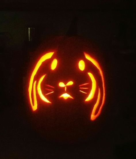 Bunny Carved Pumpkin, Pumkin Carving Bunny, Bunny Pumpkin Carving Ideas, Bunny Jack O Lantern, Rabbit Pumpkin Carving, Miffy Pumpkin Carving, Bunny Pumpkin Carving, Animal Pumpkin Carving, Rabbit Pumpkin