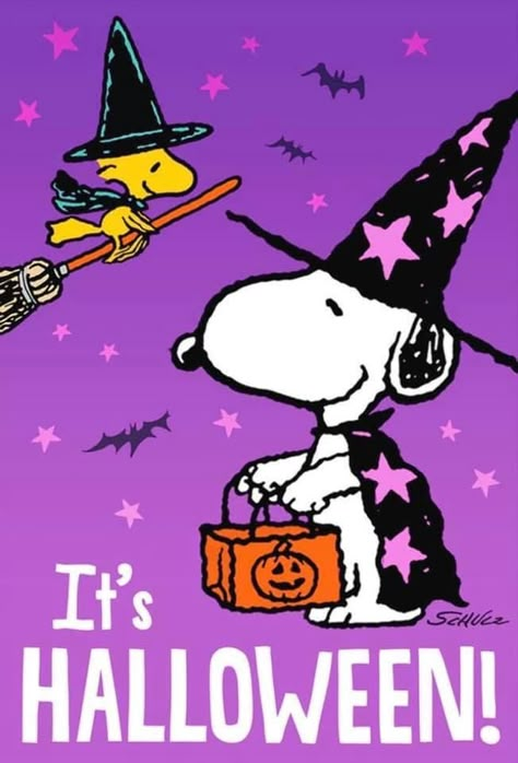 Snoopy Aesthetic, Halloween Mail, Halloween Snoopy, Peanuts Wallpaper, Happy Halloween Pictures, Peanuts Charlie Brown Snoopy, Charlie Brown Halloween, Peanuts Halloween, Halloween Wallpaper Cute