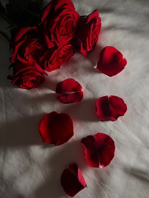 Red rose petals spreaded out towards camera, red rose aesthetic, romantic pictures, red rose photography Petals Aesthetic, Tinted Glasses, Red Rose Petals, Taurus Sign, Color Psychology, Beautiful Flowers Pictures, Root Chakra, Light Of My Life, Character Aesthetic