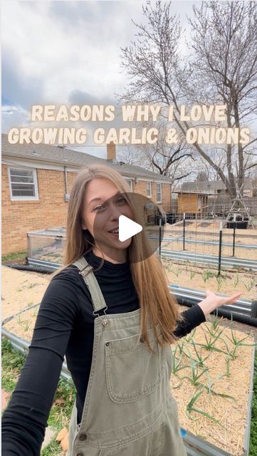 Breanna Ellis on Instagram: "Garlic and onions are probably one of my favorite things to grow!! THE FLAVOR IS UNMATCHED, plus it extends my gardening season that much more! 

#growyourown #backyardhomestead #backyardgardening #garlic #onions #growingfoodathome #gardening" Growing Onions, Growing Garlic, Seasonal Garden, Growing Food, Grow Your Own, My Favorite Things, Onions, To Grow, Favorite Things