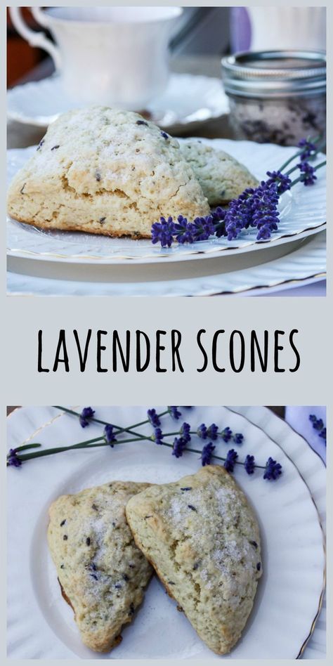 Lavender Scones Recipe, Lavender Scones, Sandwiches Recipes, Lavender Recipes, Lemon Scones, Culinary Lavender, Scones Recipe, Tea Sandwiches, Easy Treats