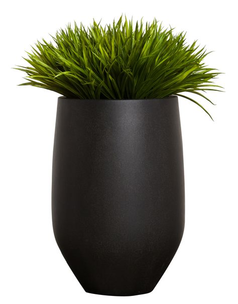 Plants For Photoshop, Plant In Black Pot, Plant Top View Png, Black Plant Pots Indoor, Black Plant Pots, Big Planters, Deco Accessories, Deco Decor, Boutique Decor