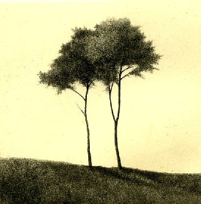 Shigeki Tomura Drypoint Etching, Trees Art, Tree Sketches, Two Trees, Abstract Tree, Ukiyo E, Watercolor Trees, Landscape Drawings, Wood Engraving