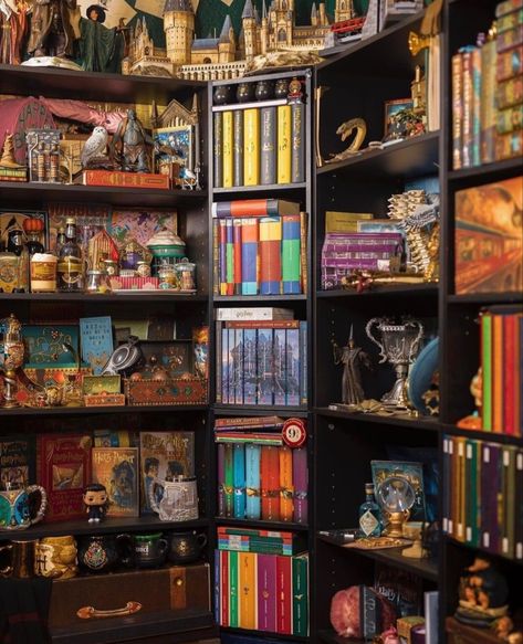 Harry Potter Book Shelf, Harry Potter Interior Design, Harry Potter Interior, Harry Potter Bookshelf, Harry Potter Shelf, Hogwarts Room, Harry Potter Library, Harry Potter Design, Book Shelf Ideas