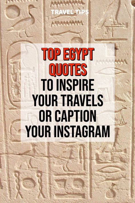 The Best Egyptian Quotes and Instagram Captions about Egypt can be found here! Egyptian Culture | Egypt Inspiration | Egyptian Writing | Quotes about Egypt | Desert Quotes | Camel Quotes | Travel Egypt | Africa Travel | Pharaoh Quotes | Quotes about History | Egypt Travel | Egypt Quotes #quotes #egypt Ancient Egypt Quotes, Egypt Scrapbook Ideas, Egypt Captions Instagram, Trendy Instagram Captions, Egypt Quotes, Egyptian Quotes, Camel Quote, Quotes About History, Egypt Quote