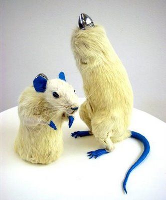 rat taxidermy salt n' pepper shakers. Taxidermied Rat, Rat Taxidermy, Plush Taxidermy, Funny Taxidermy Rats, Salt N Pepper, Taxidermy Art, Vintage Kitsch Salt & Pepper Shakers, Salt And Pepper Shakers, Taxidermy