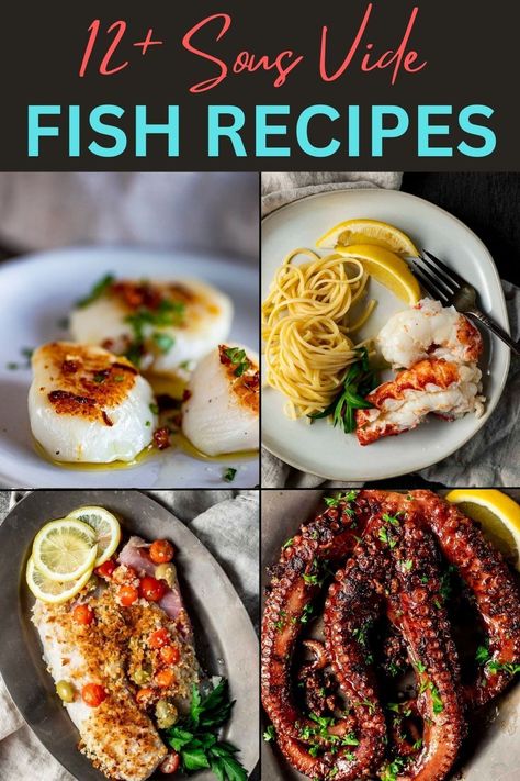 Sous Vide Shrimp Recipe, Sous Vide Fish, Grouper Recipes, Octopus Recipes, Lobster Recipes Tail, Fish Dinner Recipes, Oyster Recipes, Sous Vide Recipes, Clam Recipes