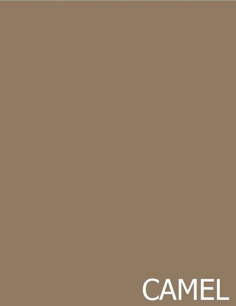 Earth Tones Paint, Pretty Colors, Caramel Color, Camel Color, Pantone Color, Pretty Colours, Earth Tones, Colour Palette, Look Fashion