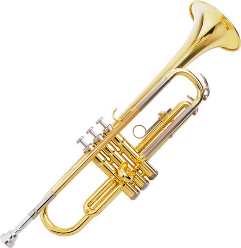 i love trumpets! My Life Doll Accessories, Trumpet Instrument, Guitar Notes, Bible King James Version, Allure Magazine, All Music Instruments, Jazz Art, Music Pics, English Lessons For Kids