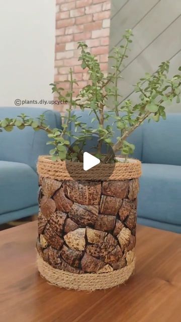 dekorhomedekor on Instagram: 👏👏👌👌 Repost from @plants.diy.upcycle 👏👏 DIY planter with coconut shells and coir.. #diy #planter #coconutshellart #coconutshellcraft… Coconut Shell Painting Ideas, Coconut Shell Crafts Diy, Pot Decorating Ideas Indian, Coconut Shell Art, Flower Vase Crafts, Coconut Decoration, Pots Ideas, Coconut Shell Crafts, Diy Coconut