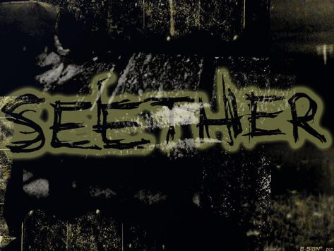 Seether Band, Y2k Emo Aesthetic, Shaun Morgan, Band Wallpaper, Down To The Bone, Band Poster, Music Station, Band Wallpapers, Music Images