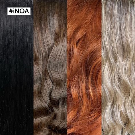 Inoa Haircolor, Inoa Loreal, Quiz Time, Fresh Look, L Oreal, Shampoos, Hair Transformation, Hair Conditioner, Hair Products