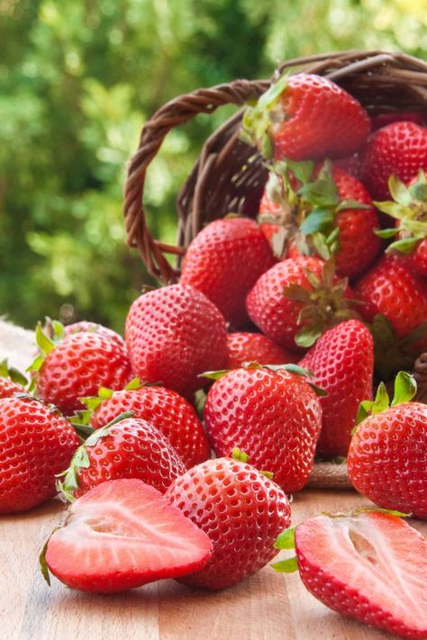 Types Of Strawberries, Strawberry Varieties, Low Calorie Fruits, Strawberry Bread, Strawberry Dessert Recipes, Strawberry Cake Recipes, Strawberry Garden, Strawberry Picking, Strawberry Plants