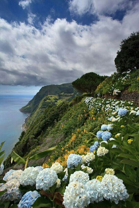 Azores Islands, Portugal Composition Photo, São Miguel Island, Places In Portugal, Visit Portugal, Portugal Travel, Spain And Portugal, Belleza Natural, Beautiful Islands, Travel Around The World