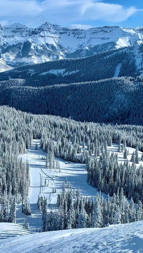 Powder day at Telluride Ski Resort. Ski Resorts In Colorado, Colorado Mountain Homes, Telluride Ski Resort, Telluride Colorado, Mountain Getaway, Mountain Travel, Colorado Mountain, Ski Resorts, Pool Time