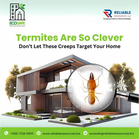 Did you know that termites can silently destroy your home from the inside out? These tiny invaders are masters of stealth, often causing significant damage before being detected. Don’t let these clever pests compromise your home’s safety. Protect your property with ECOSAFE Pest Control’s expert termite solutions. 📞 Contact Us: +968 7238 9900 | +968 7237 9900 📧 Email: ecosafe@reliableresources.biz 🌐 Visit: www.reliableresources.biz 🔍 #Termites #PestControl #Oman #HomeProtection #EcoFriendly ... Pinterest Download, Best Pest Control, Termite Control, Resume Builder, Pest Control Services, Home Protection, Creative Lighting, Protecting Your Home, Post Ideas