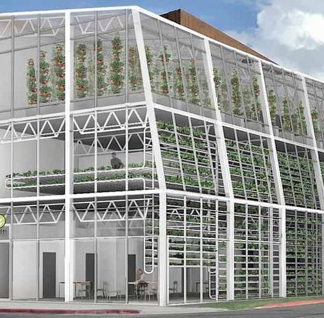 Jackson, Wyoming is about to become home to one of the first vertical farms in the world, a three-story greenhouse that will grow produce locally year round and employ people with developmental disabilities. Urban Farms, Greenhouse Farming, Vertical Farm, Smart Farm, Aquaponics Diy, Modern Agriculture, Urban Agriculture, Vertical Farming, Urban Farm