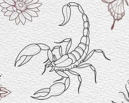 Scorpion Tattoo Feminine Outline, Mens Tattoo Quotes, Simple Daisy Tattoo, Scorpion Tattoo Design, Daisy Tattoo Designs, Arm Tattoos Drawing, Cat Tattoo Design, Tattoos Drawing, Koi Tattoo Design