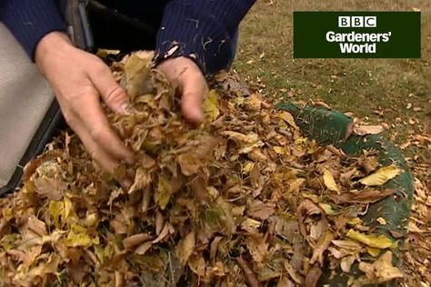 Make leaf mould from fallen autumn leaves, to create a versatile soil conditioner - Monty Don explains how in this practical clip from Gardeners' World TV programme. Leaf Mould, Garden Tools Decor, Garden Tool Box, Vertical Pallet Garden, Garden Tool Holder, Garden Mulch, Garden Tool Rack, Monty Don, Garden Tool Organization