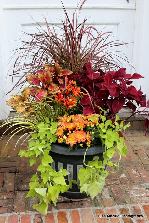 Autumn Planters Outdoor, Fall Outdoor Planter Ideas, Fall Containers Planters, Potted Landscaping, Autumn Planters, Fall Potted Plants, Fall House Decor, Shade Plants Container, Fall Container Plants