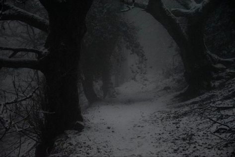 Gloomy Winter, Halloween Wallpaper Iphone Backgrounds, Dark Landscape, Forest Aesthetic, Sakura Tree, Dark Nature, Dark Grunge, Halloween Wallpaper Iphone, Silent Hill