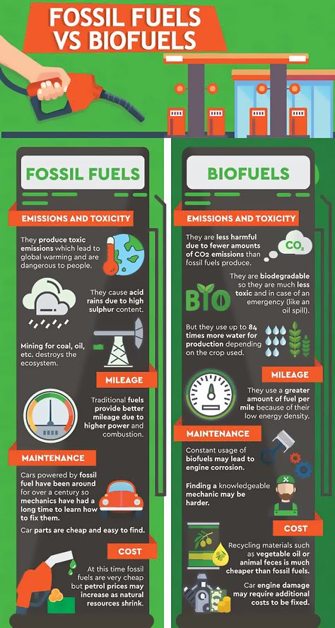 Biofuels History Infographics Types Of Perspective, Chemistry Posters, Science Infographics, Sustainability Education, Plant And Animal Cells, Science Models, History Infographic, Green Chemistry, Study Flashcards