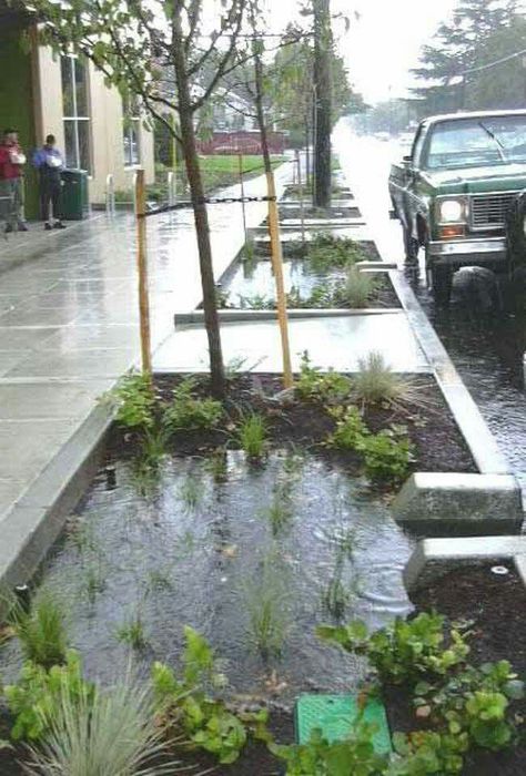 Stormwater Management, Urban Landscape Design, Green Street, Landscape And Urbanism, Landscape Architecture Design, Green Architecture, Water Management, Rain Garden, Sustainable Architecture