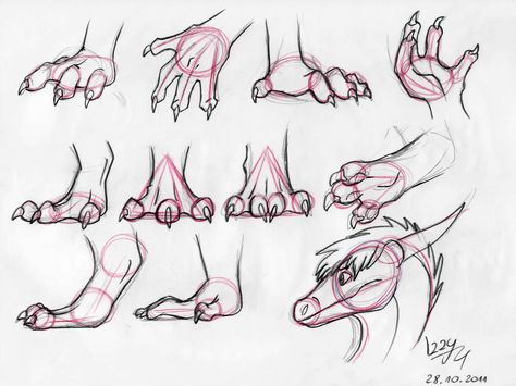 Dragon legs and arms Tutorial by Natsuakai on DeviantArt Drawing Dragons, Drawing Figures, Dragon Poses, Drawing Dragon, Dragon Anatomy, Drawing Eyes, Dragon Sketch, Animal References, Creature Drawings