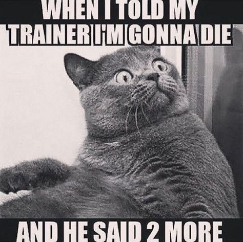 Personal Trainer Humor, Personal Trainer Quotes, Trainer Quotes, Gym Jokes, Fitness Jokes, Photographer Humor, Fitness Memes, Funny Gym Quotes, Gym Quote