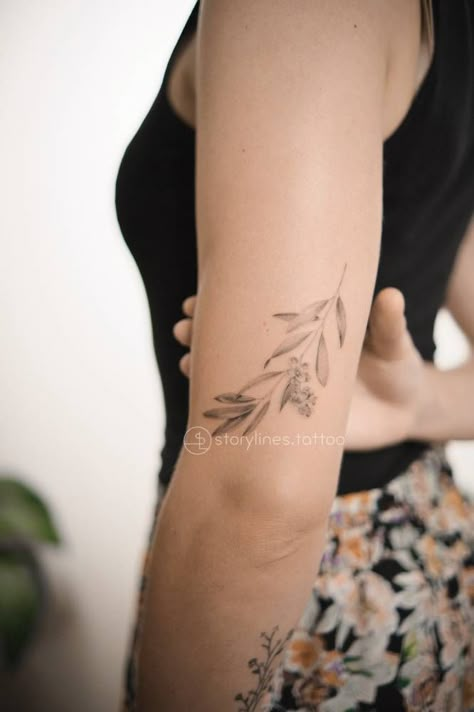 Leave Branch Tattoo, Almond Tree Branch Tattoo, Olive Branch Tattoo With Flowers, Large Olive Branch Tattoo, Olive Branch Drawing Tattoo, Olive Blossom Tattoo, Olive Branch Tattoo Back Of Arm, Olive Branch Tattoo Upper Arm, Olive Branch With Flowers Tattoo