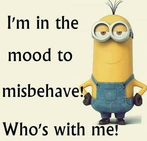 ♥ Uplifting Humor, Bitching Quotes, Minion Photos, Minion Humour, Minion Love, Minion Humor, Minion Pictures, Minions Love, Not In The Mood