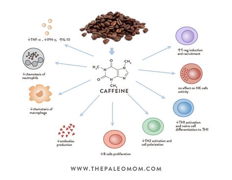 Coffee and Autoimmune Disease ~ The Paleo Mom Autoimmune Disease Diet, Autoimmune Disease Symptoms, The Paleo Mom, Paleo Mom, Autoimmune Diet, Disease Symptoms, Autoimmune Disease, Alternative Medicine, Genetic