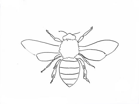 Simple Bee Drawing, Bee Line Art, Honey Ideas, Cute Small Drawings, Bee Drawing, Line Sketch, Hand Embroidery Videos, Small Drawings, Embroidery Videos