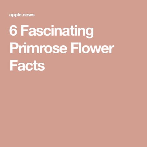 6 Fascinating Primrose Flower Facts Flower Facts, Primrose Flower, History Meaning, Herbs To Grow, Flower Care, Pop Culture References, Pop Culture, Fun Facts, To Grow