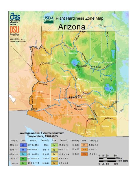 The Best Memorial Tree Urns for Your State: Arizona Planting Zones Map, Map Of Arizona, Vegetable Planting Calendar, Arizona Plants, Time Zone Map, Vegetable Planting Guide, Arizona Backyard, Plant Hardiness Zone Map, Arizona Gardening