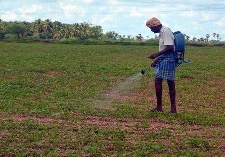 A farmer using hand sprayer at the dry land farming, in Tuticorin, Tamil Nadu Dry Land, A Farmer, Tamil Nadu, Agriculture, Farmer, Soil, Collage, Pins, Quick Saves