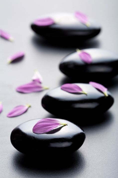 Ahhh... massage stones + petals! (Olga Miltsova | depositphotos) Massage Images, Image Zen, Massage Pictures, Massage Therapy Rooms, Massage Business, Spa Therapy, Massage Stones, Reflexology Massage, Hot Stone Massage