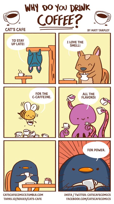 4 Panel Life, Cat Cafe, Marvel Girls, Memes Humor, Funny Love, Cute Comics, Animal Memes, Comic Strip, Bored Panda