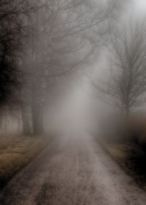 Foggy Road Aesthetic, Foggy Photography, Foggy Aesthetic, Pinterest Background, Fog Aesthetic, Foggy Road, Mysterious Landscape, Welcome To Silent Hill, Face Lighting